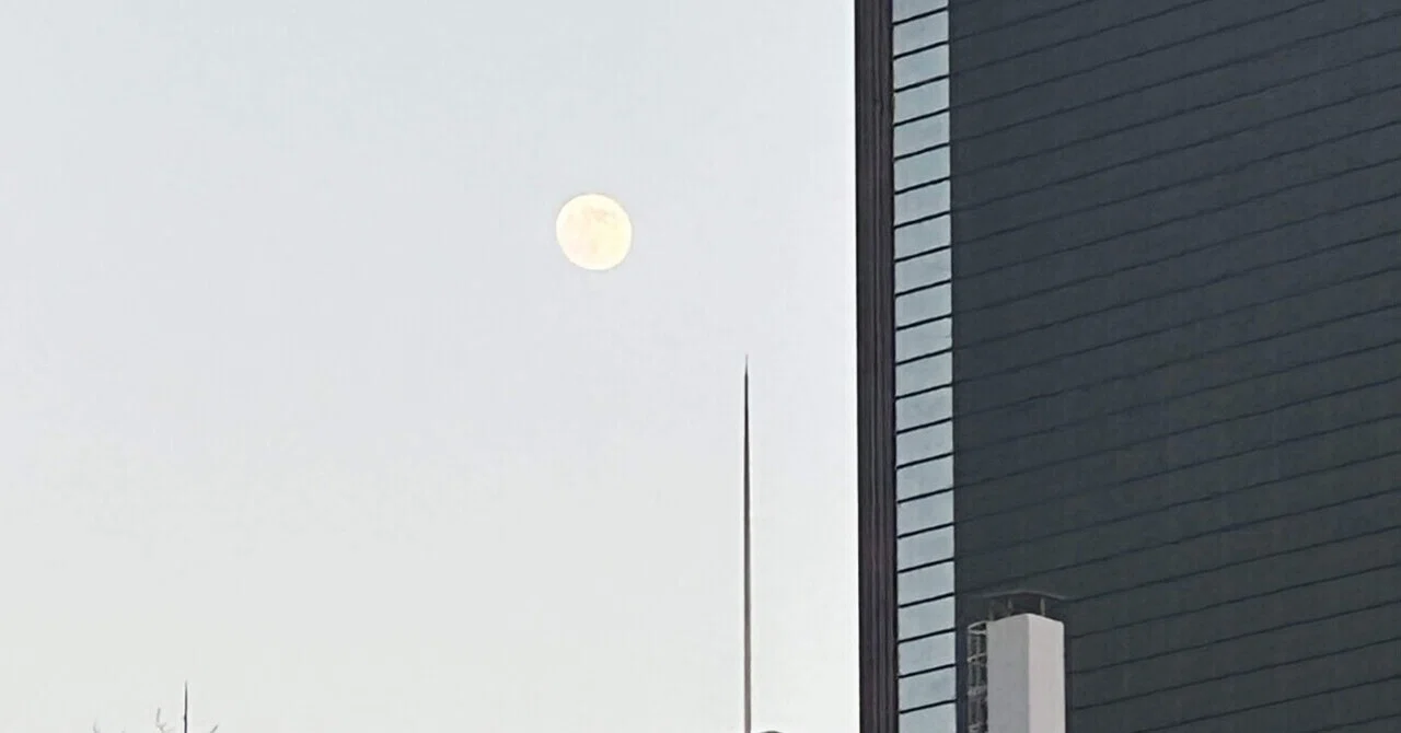 そとにでること